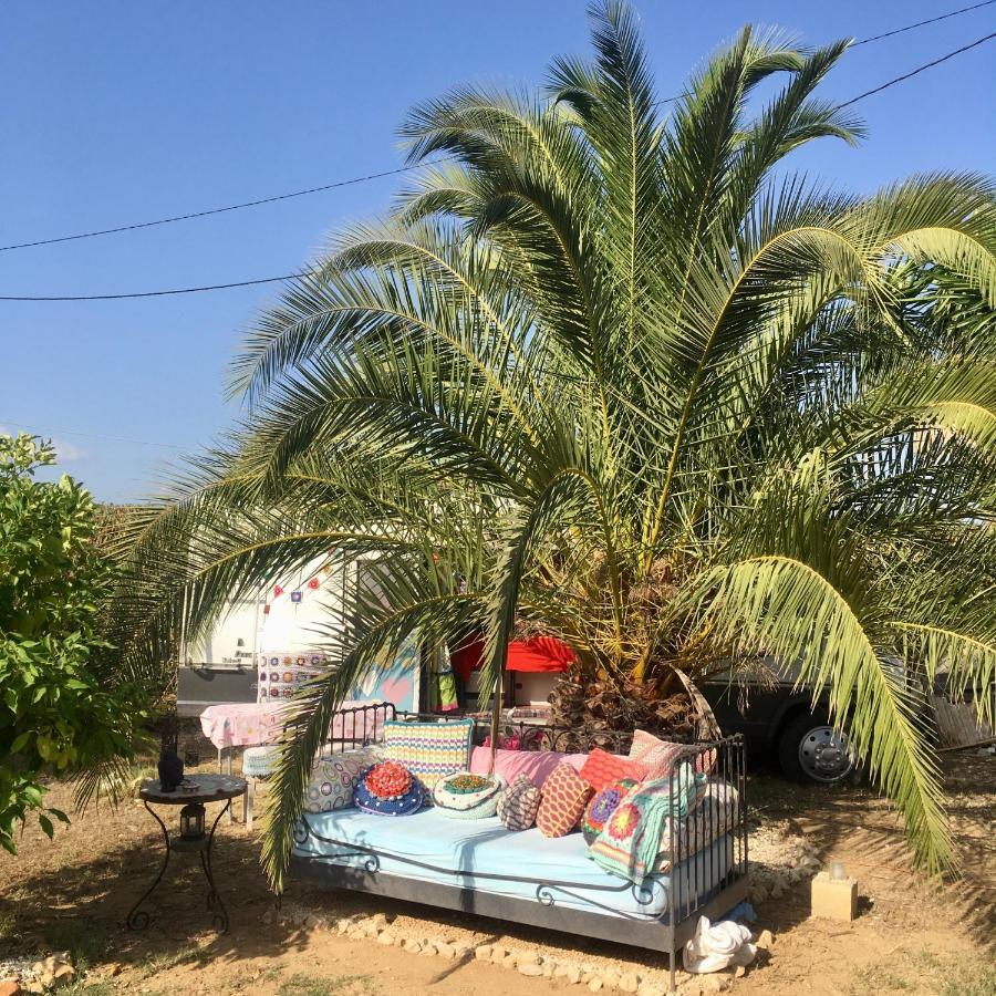Finca Fahala การ์ตามา ภายนอก รูปภาพ