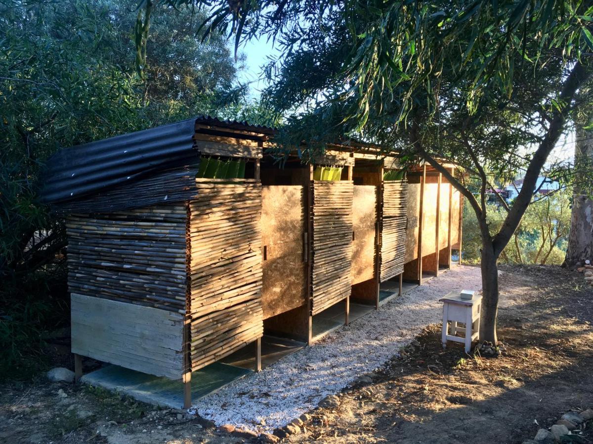 Finca Fahala การ์ตามา ภายนอก รูปภาพ